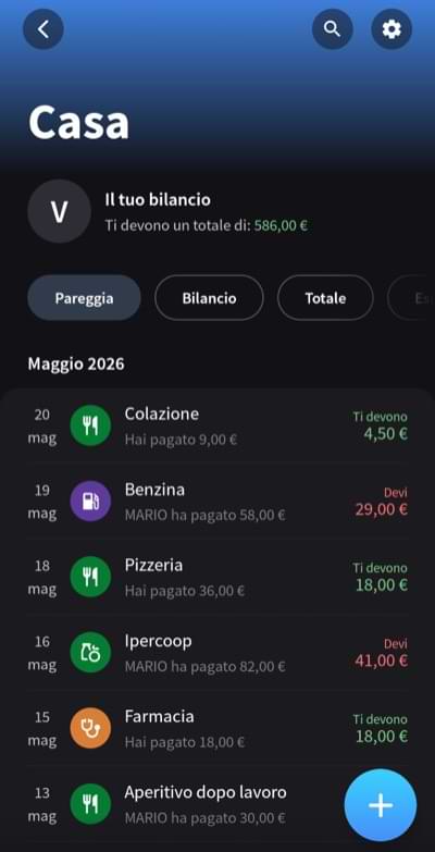 Categorizzazione spese splital