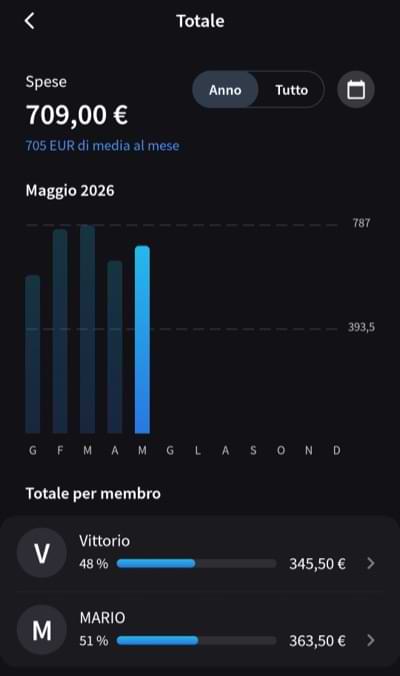 Categorizzazione spese splital vs splitwise